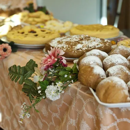 酒店 Giunchi 切尔维亚